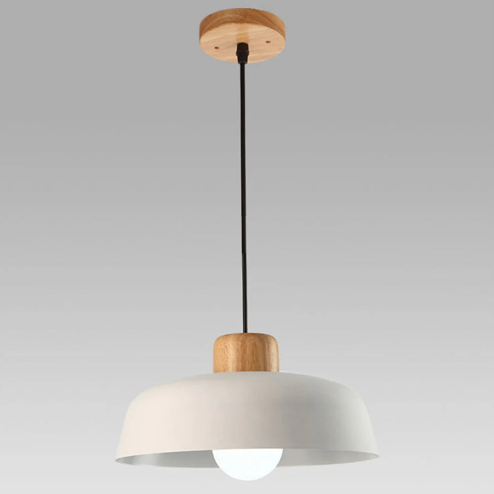 Nordic Metal Shade Pendant Light for Home | Celinea