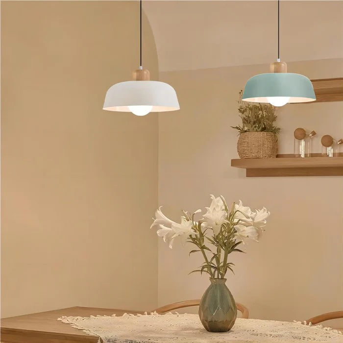 Nordic Metal Shade Pendant Light for Home | Celinea