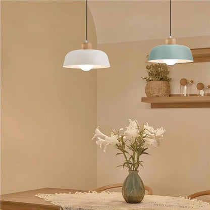 Nordic Metal Shade Pendant Light for Home | Celinea