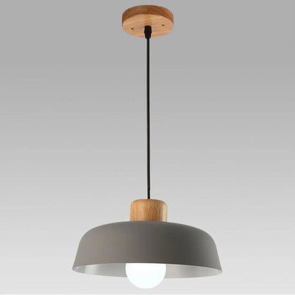 Nordic Metal Shade Pendant Light for Home | Celinea
