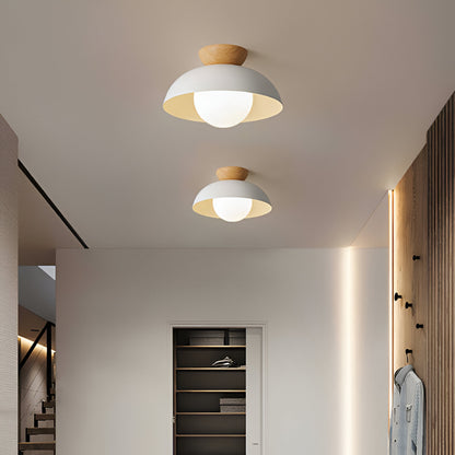 Nordic Minimalist Iron Ceiling Light Shade Fixture | Selaro