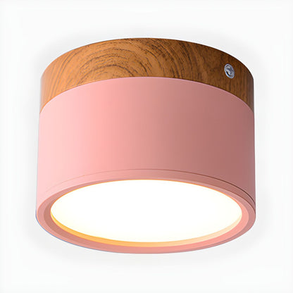 Nordic Modern LED Flush Mount Ceiling Light | Calenne