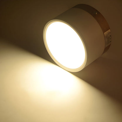 Nordic Modern LED Flush Mount Ceiling Light | Calenne