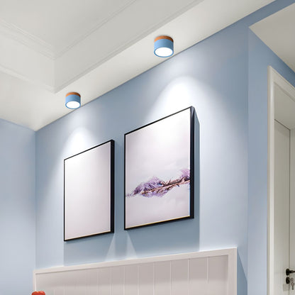 Nordic Modern LED Flush Mount Ceiling Light | Calenne