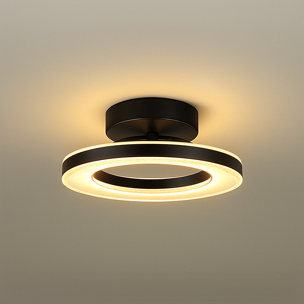 Round Acrylic Ceiling Light for Hallways Modern | Velirox