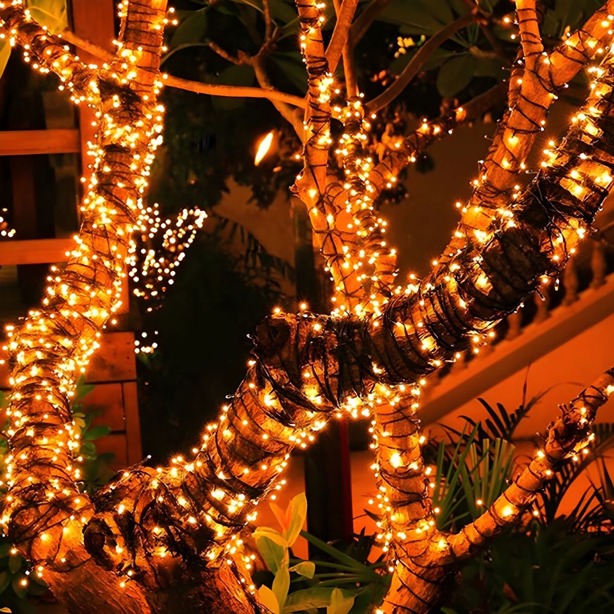 Solar LED Beaded Outdoor String Light Modern | Olnico