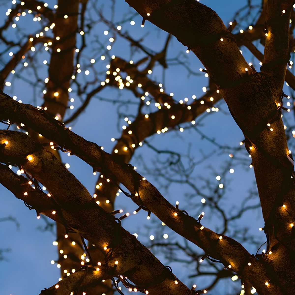 Solar LED Beaded Outdoor String Light Modern | Olnico