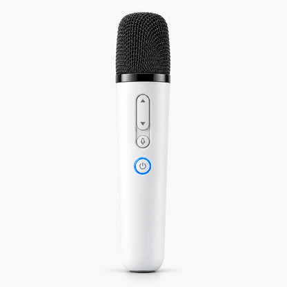 Wireless Dynamic In-Car Karaoke Microphone